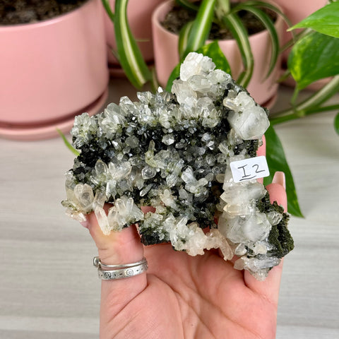 Black Epidote & Chlorite Quartz Specimen (Forest Quartz)