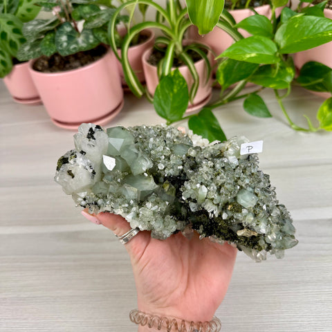 Black Epidote & Chlorite Quartz Specimen (Forest Quartz)