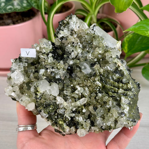 Black Epidote & Chlorite Quartz Specimen (Forest Quartz)