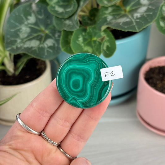 Malachite Cookie - F2