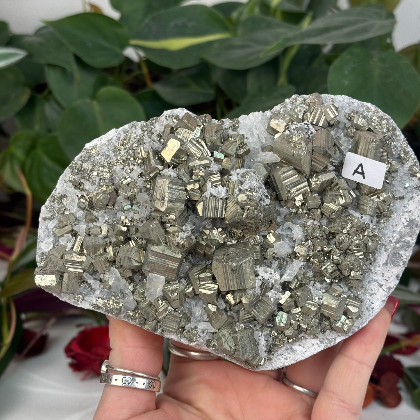 Pyrite In Quartz Specimen