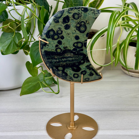 Kambaba Jasper Moon