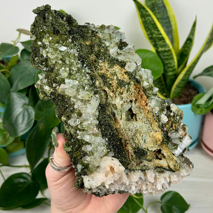 Forest Quartz