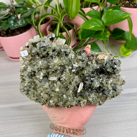 Black Epidote & Chlorite Quartz Specimen (Forest Quartz)