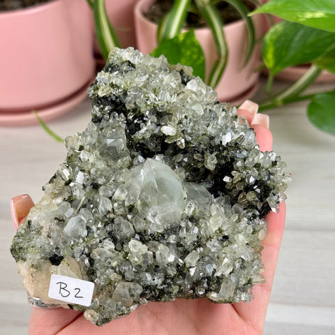 Black Epidote & Chlorite Quartz Specimen (Forest Quartz)