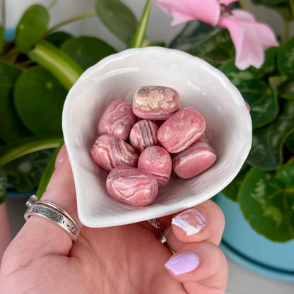 Rhodochrosite Forbidden Jelly Bean
