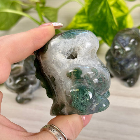 Moss Agate Chubby Dino
