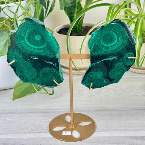 Malachite Lungs