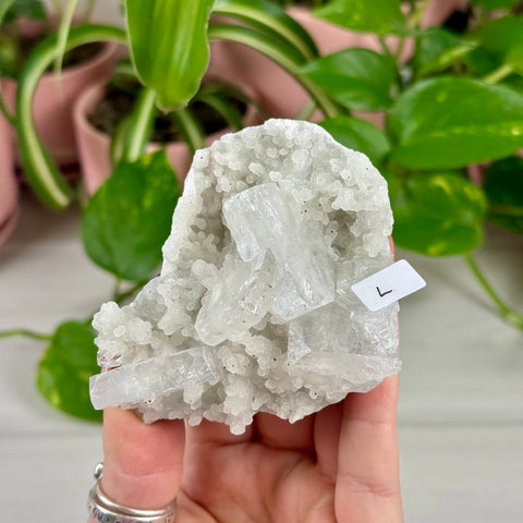 Sparkling White Chalcedony With Apophyllite