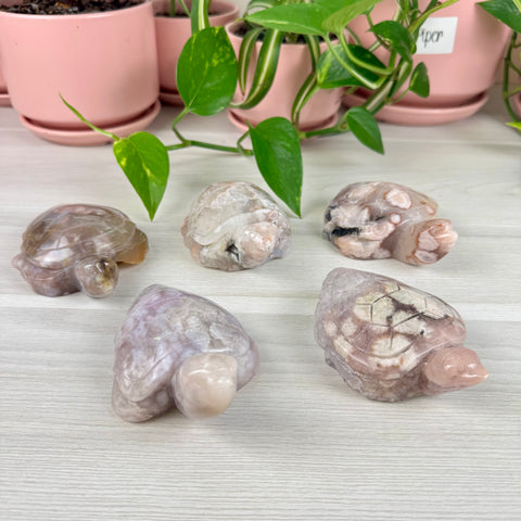 Imperfect Flower Agate Turtle - Crystal Carving