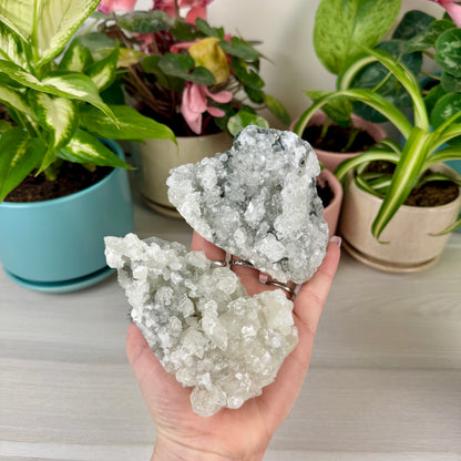 Diamond Apophyllite