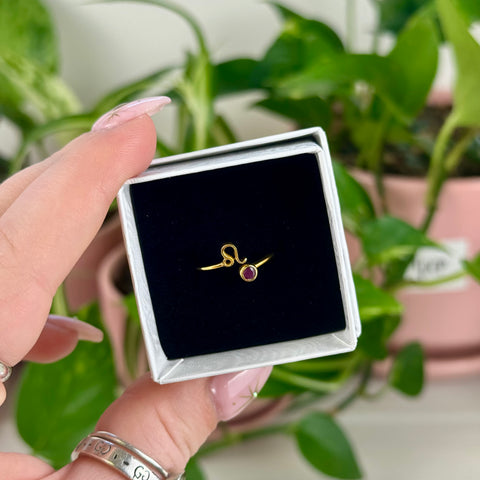 Gold Vermeil Adjustable Zodiac Ring