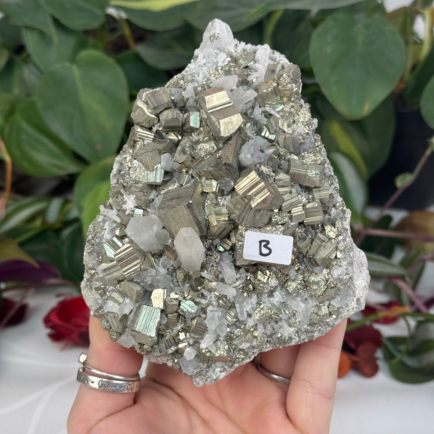 Pyrite In Quartz Specimen