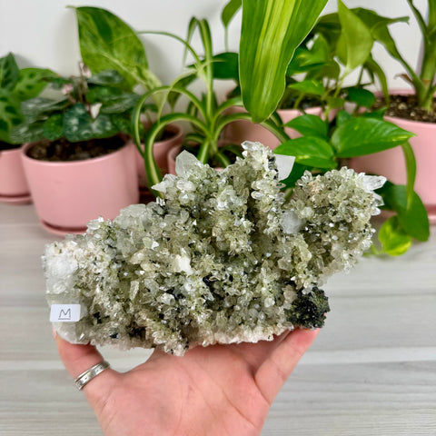 Black Epidote & Chlorite Quartz Specimen (Forest Quartz)