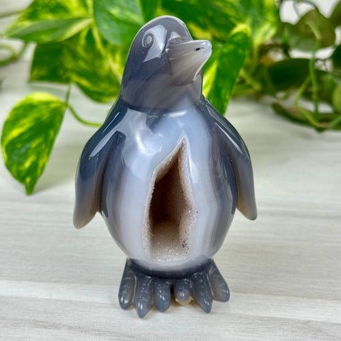Druzy Agate Penguin