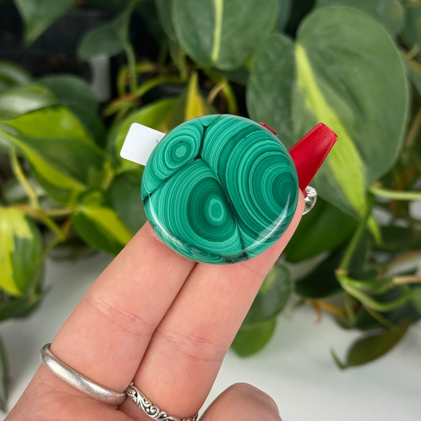 Mini Malachite Cookie