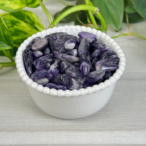 Amethyst Chips (100g)