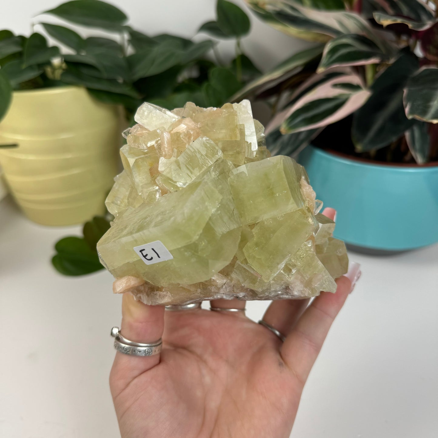 Green Apple Apophyllite