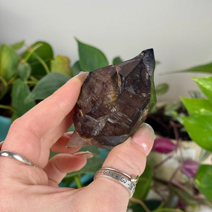 Enhydro Shangaan Amethyst