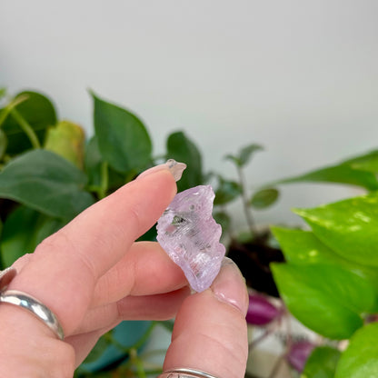 Mawi Pegmatite Kunzite Specimen