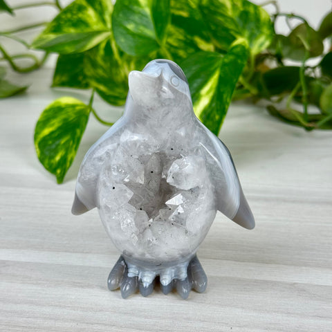 Druzy Agate Penguin