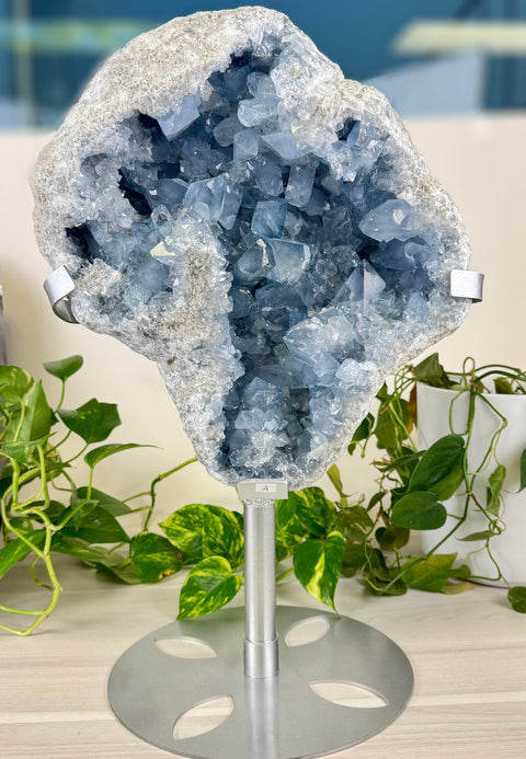 Glacier Blue Celestite Geode (W/ Custom Stand)