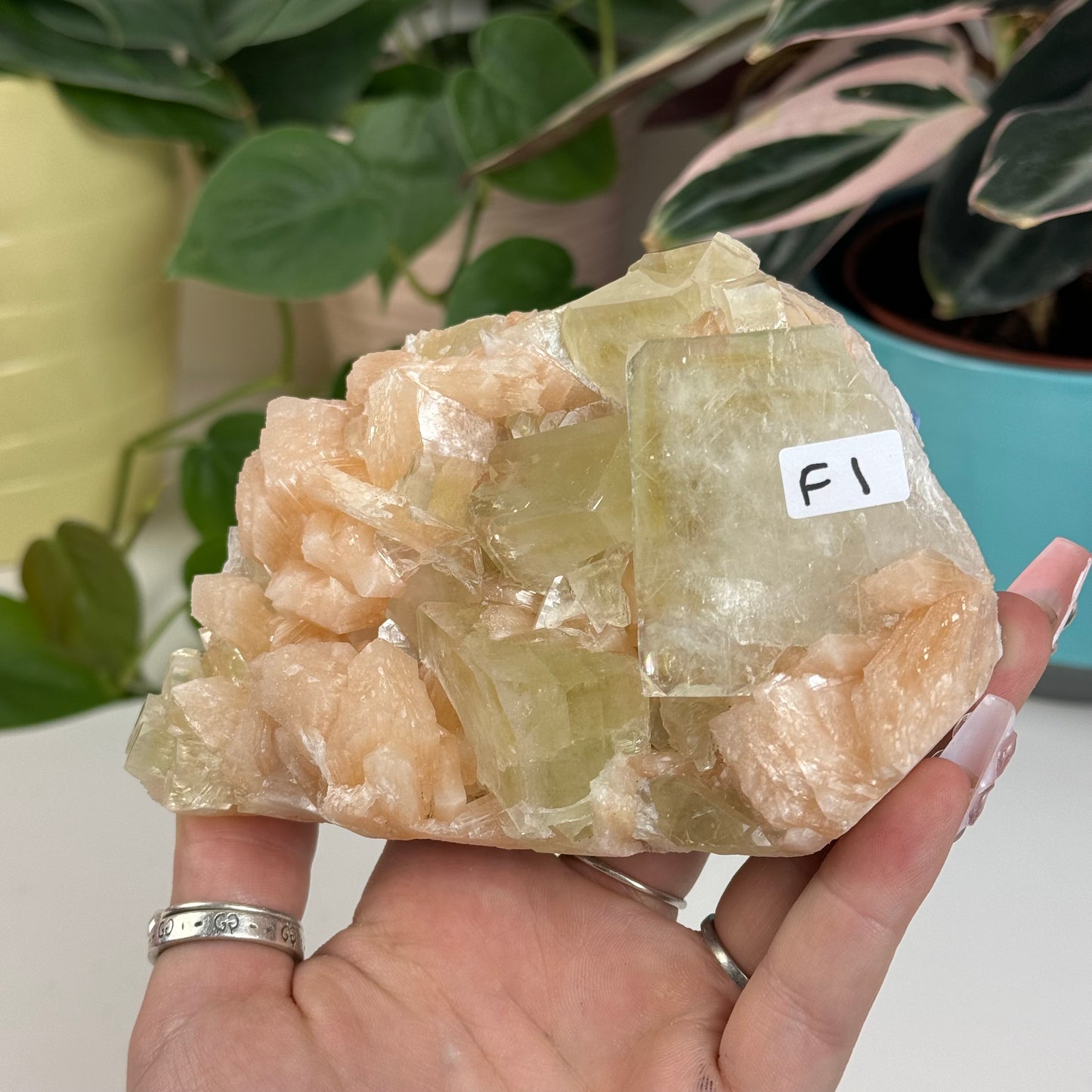 Green Apple Apophyllite