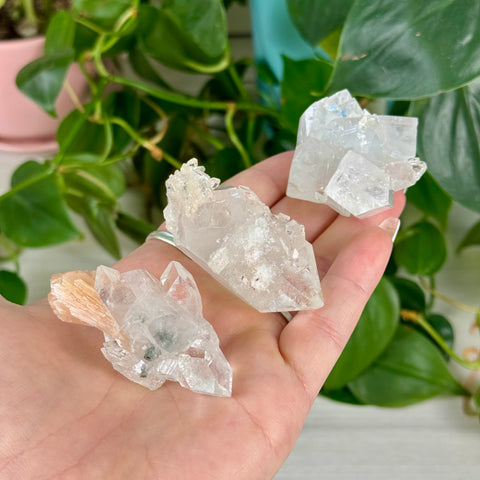 Apophyllite Cluster