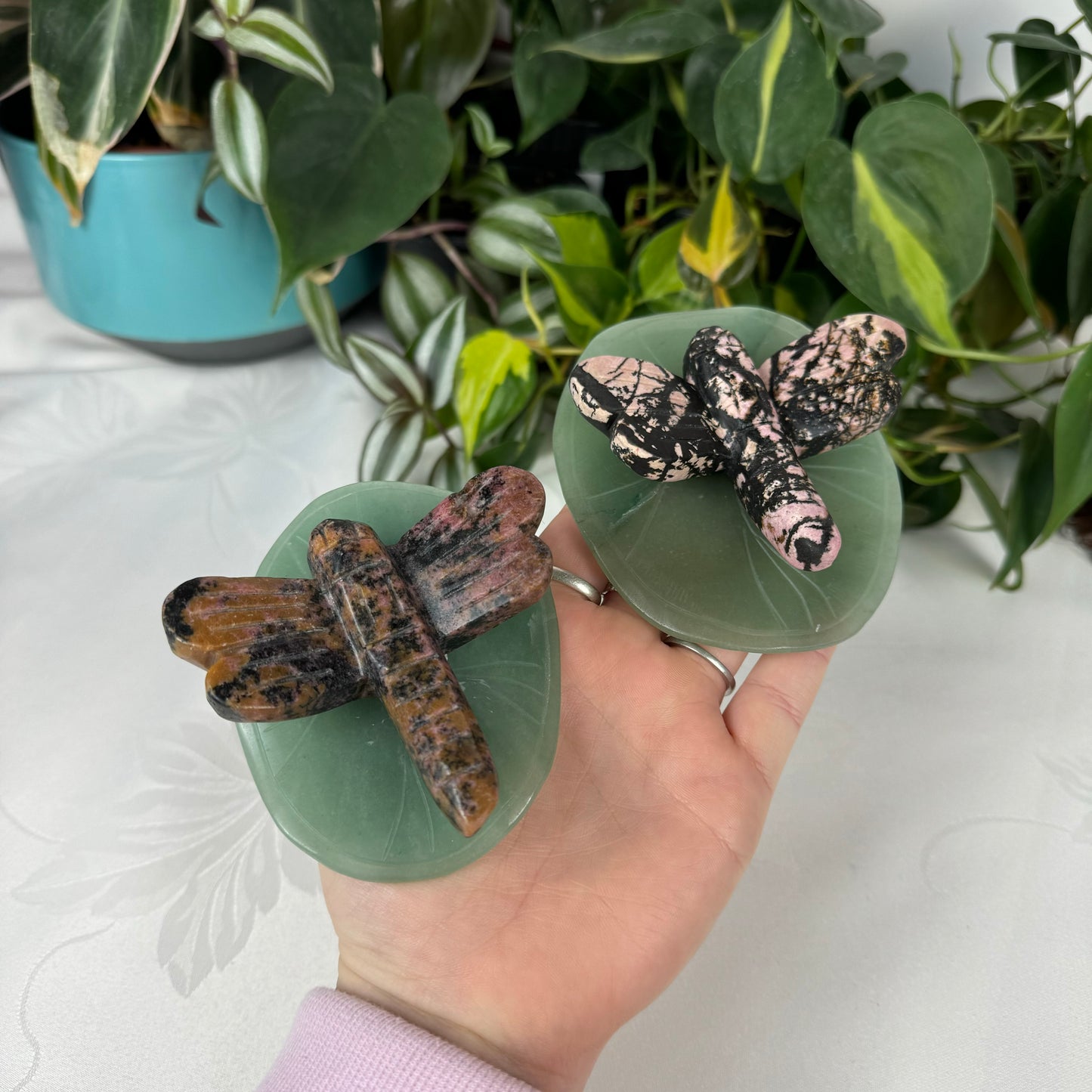 Dragonfly On Lily Pad