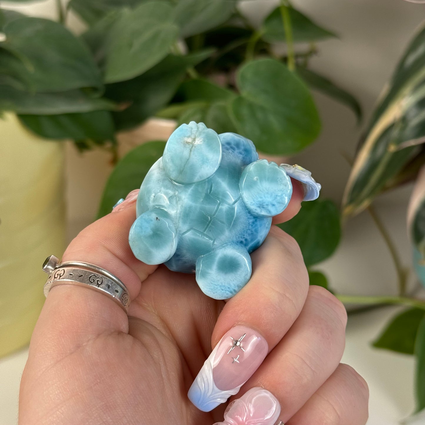 Large Larimar Turtle - M