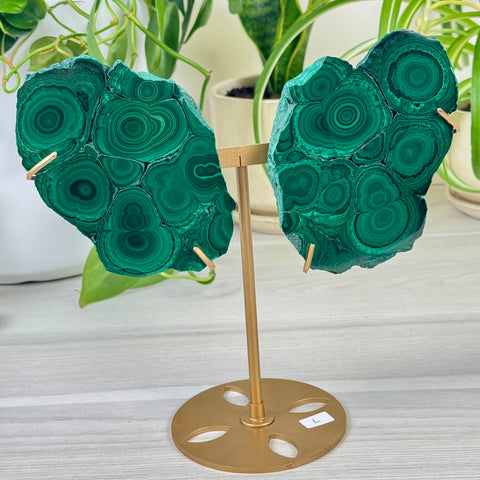 Malachite Lungs