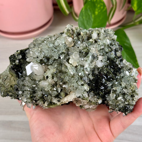 Black Epidote & Chlorite Quartz Specimen (Forest Quartz)