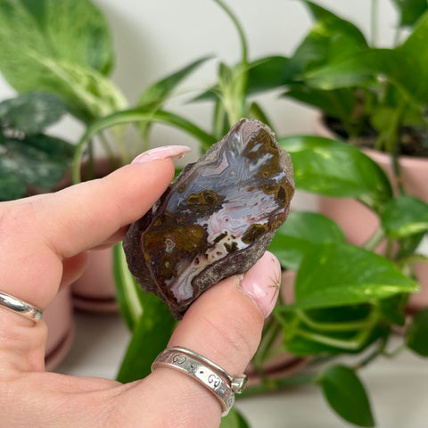 Indi Czechia Agate