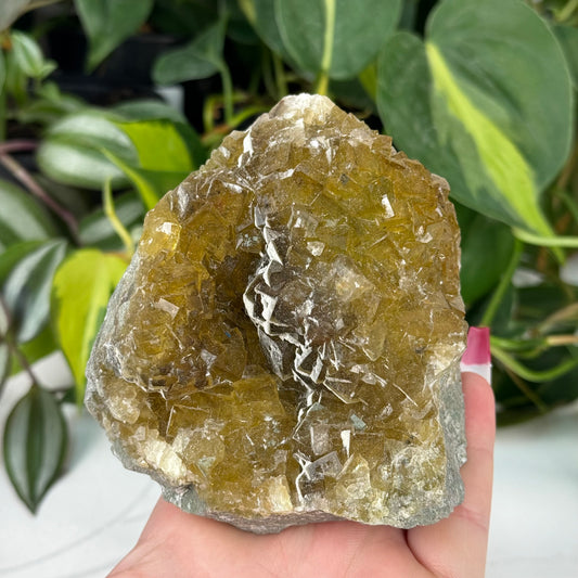 Muscana Fluorite