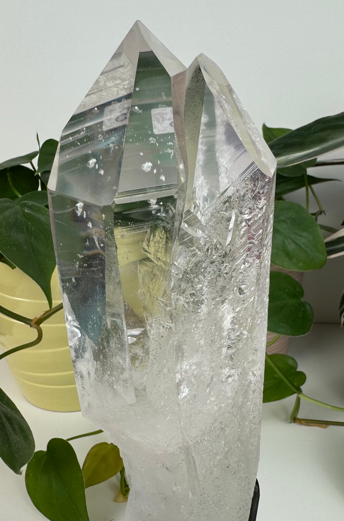 Incredible Lemurian Quartz (W/ Custom Stand) - B