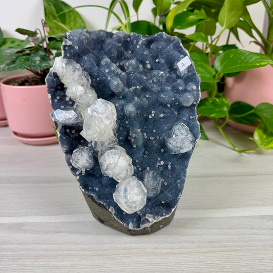Deep Blue Chalcedony With Apophyllite