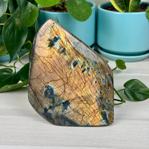 Intuitively Picked Labradorite Free Form