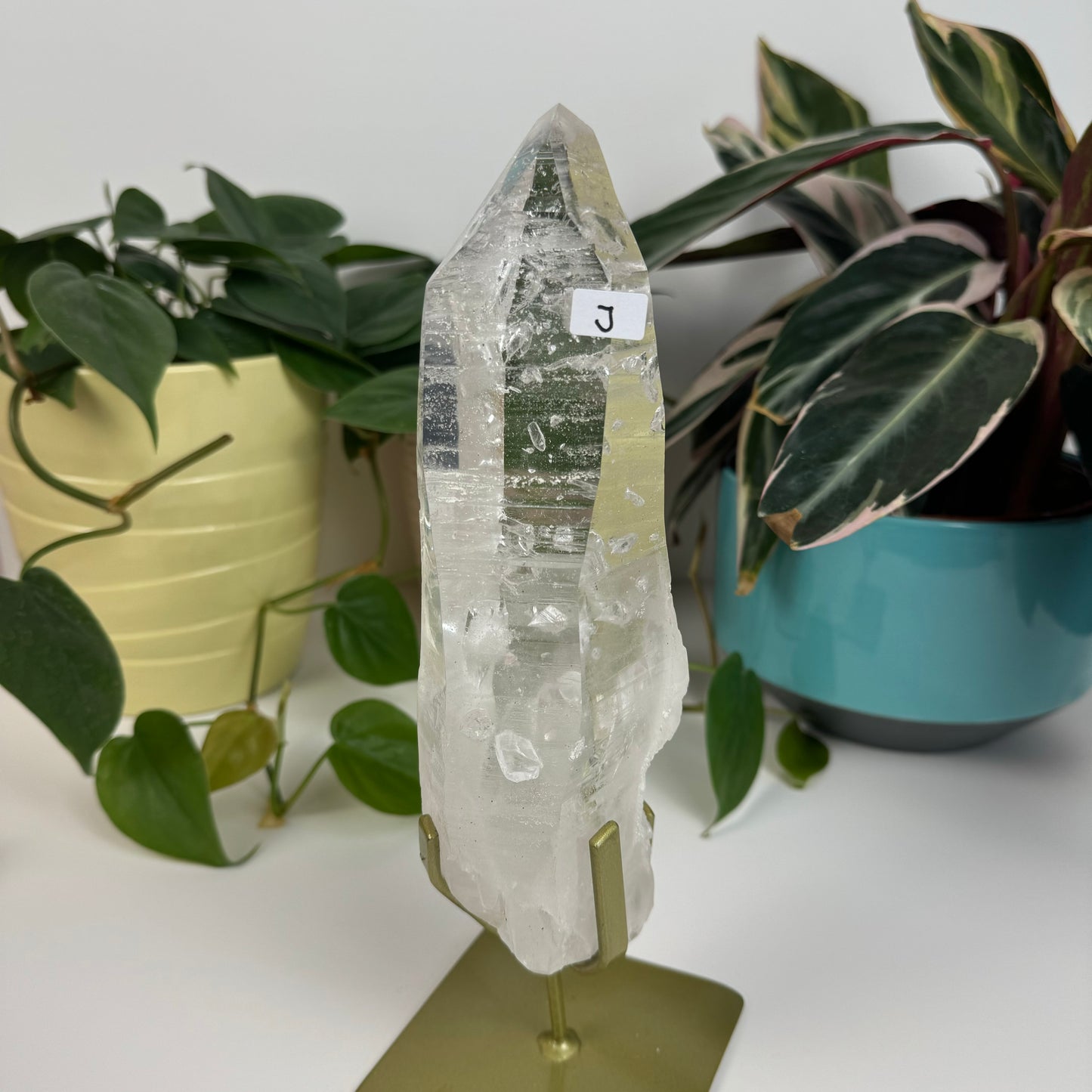 Incredible Lemurian Quartz (W/ Custom Stand) - J