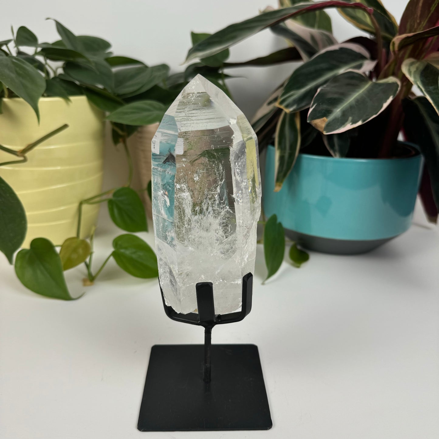 Incredible Lemurian Quartz (W/ Custom Stand) - P