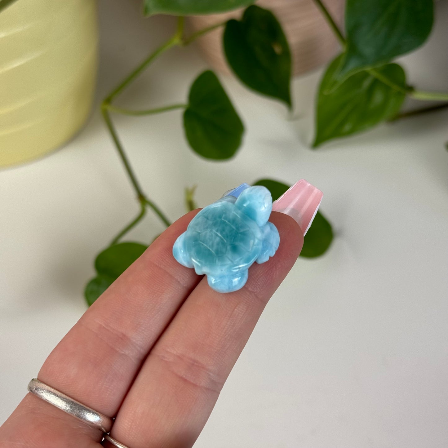 Mini Larimar Turtle