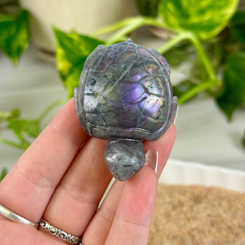Sunset Labradorite Turtle