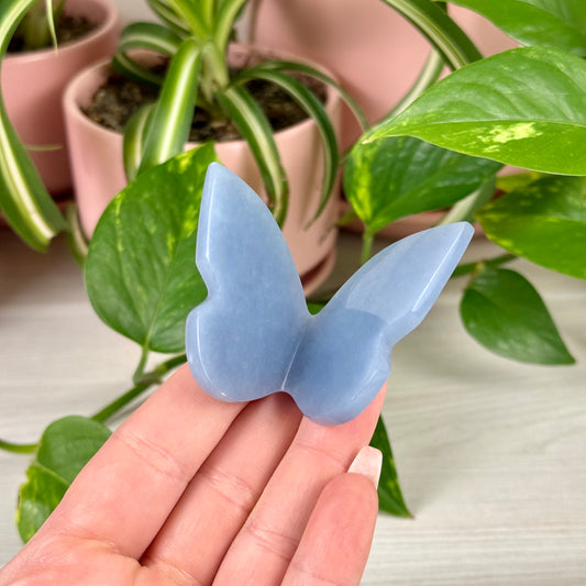 Angelite 3D Butterfly - Crystal Carving