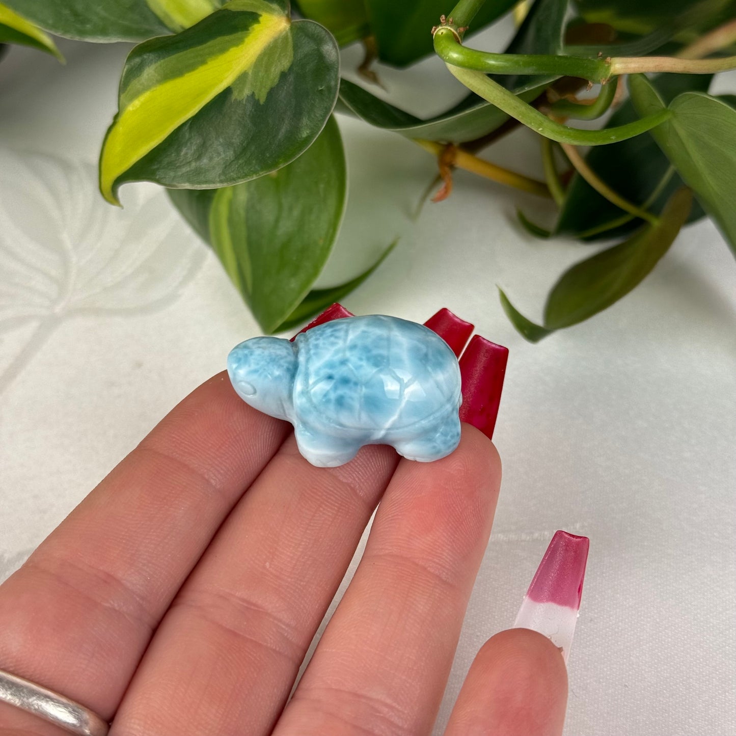 Mini Larimar Turtle