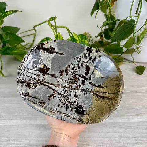 Painting Stone Decorative Dish