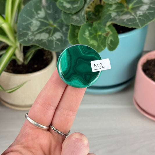 Malachite Cookie - M2