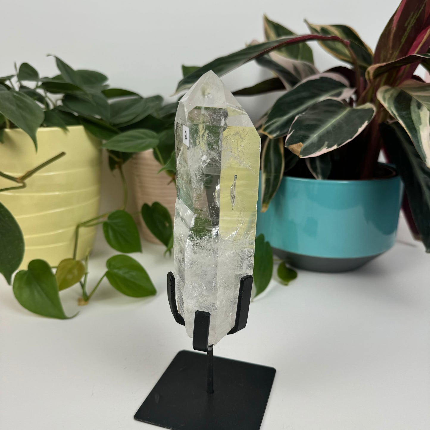 Incredible Lemurian Quartz (W/ Custom Stand) - Q