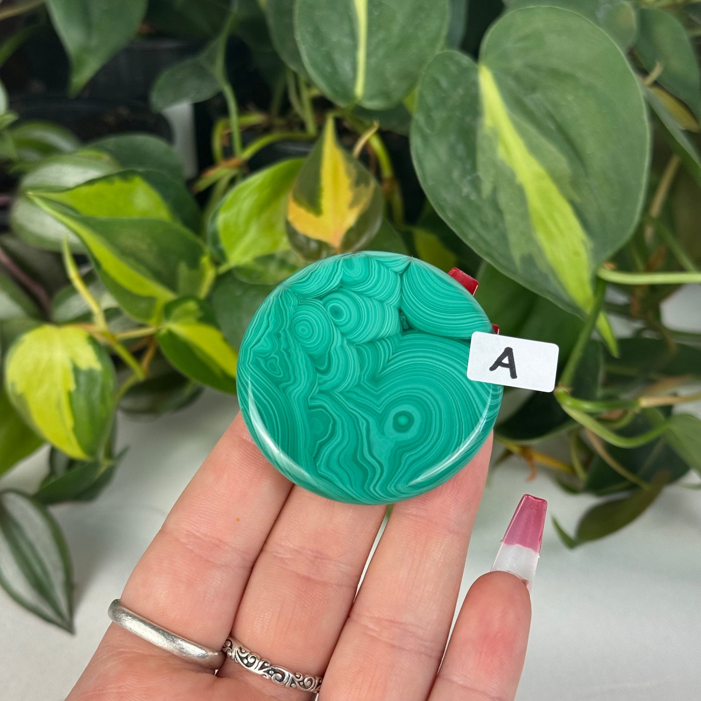 Mini Malachite Cookie