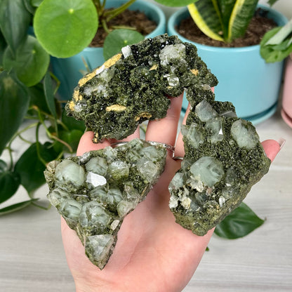 Forest Quartz