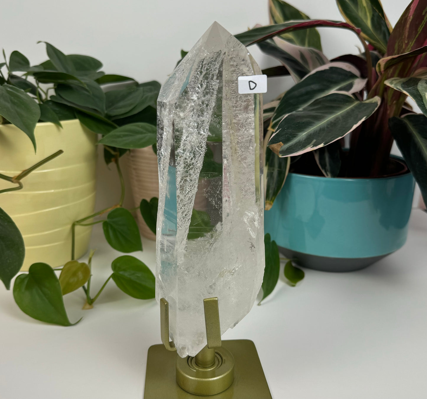 Incredible Lemurian Quartz (W/ Custom Stand) - D