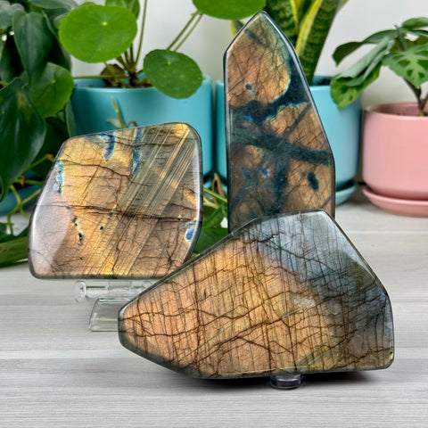 Intuitively Picked Labradorite Free Form